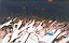 Skit Crowd